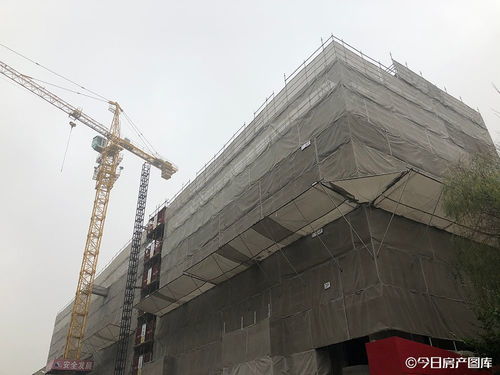 實(shí)探 徐匯600米地鐵站,出現(xiàn)個(gè)全新盤